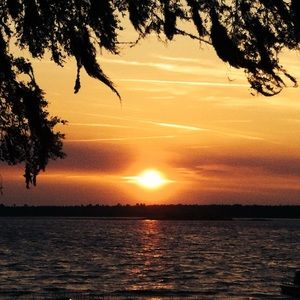 Meet your Posher, Sunshine